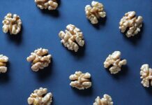 뇌 건강을 위한 식단 조언 white and brown flower petals