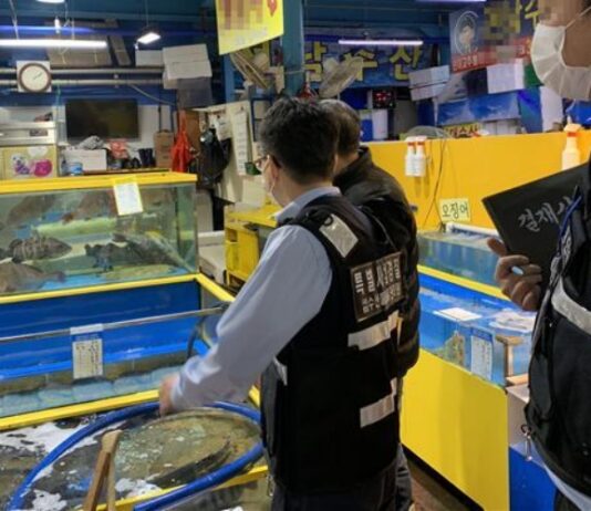 여름철 인기 수산물 원산지 집중 단속…유통이력 추적