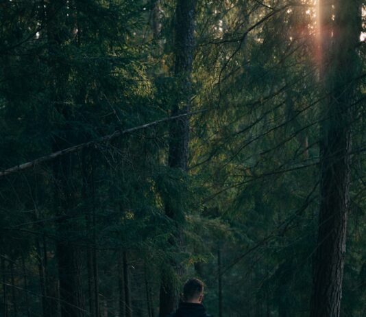 서울 직장인들 사이에서 ‘마음 챙김 산책’ 인기…일상 스트레스 관리법으로 주목 man walking near trees